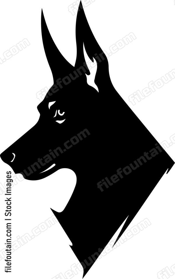 Doberman Pinscher
