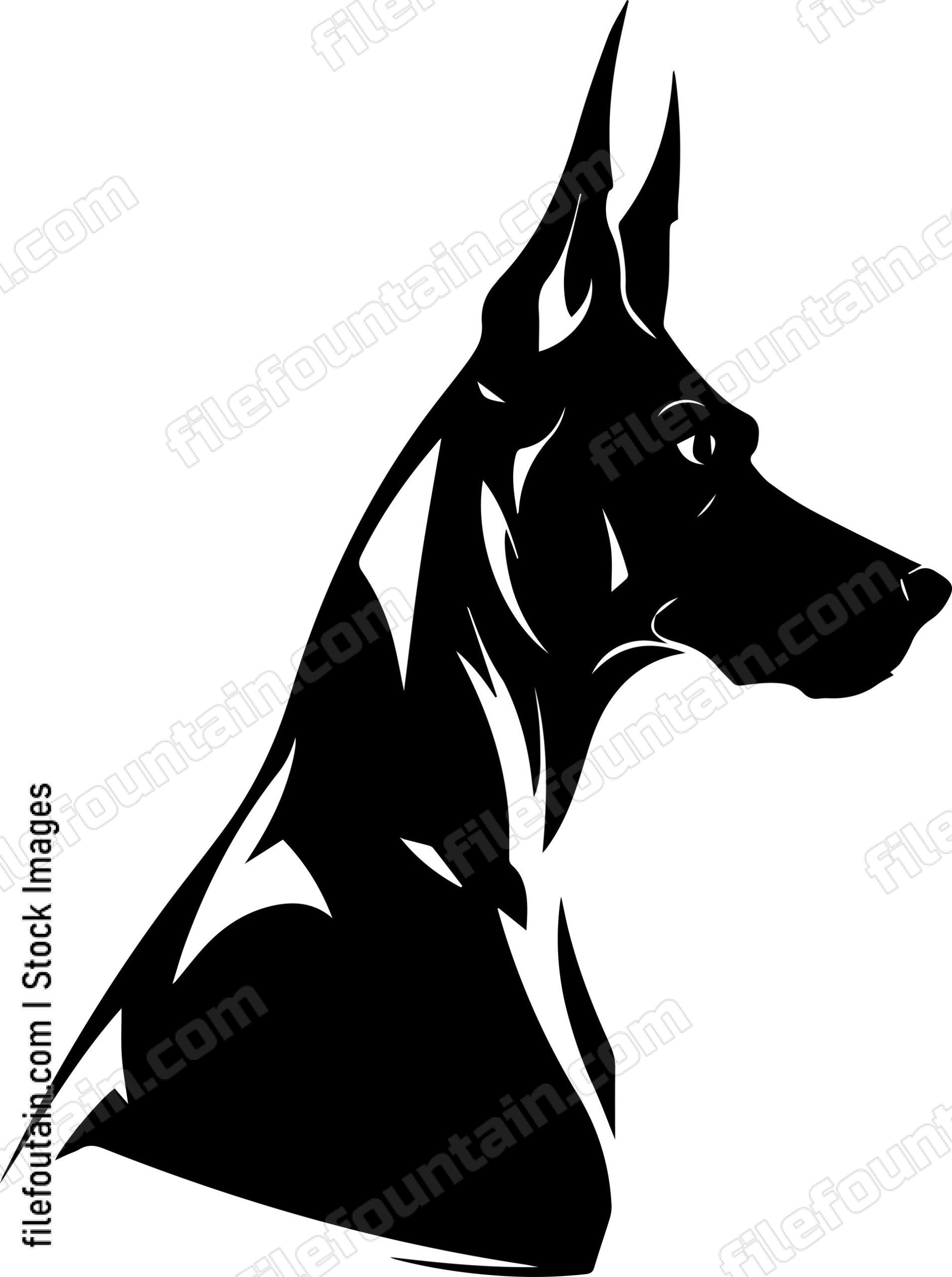 Doberman Pinscher