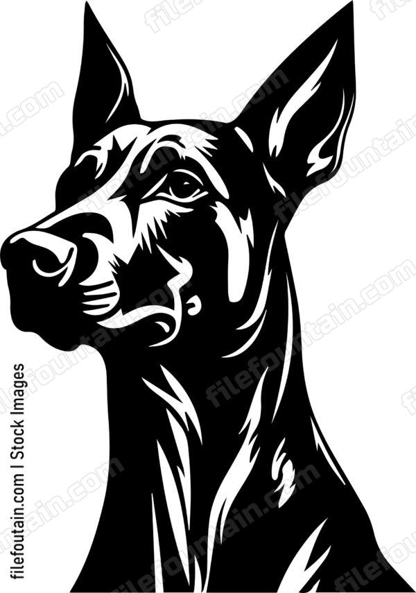 Doberman Pinscher