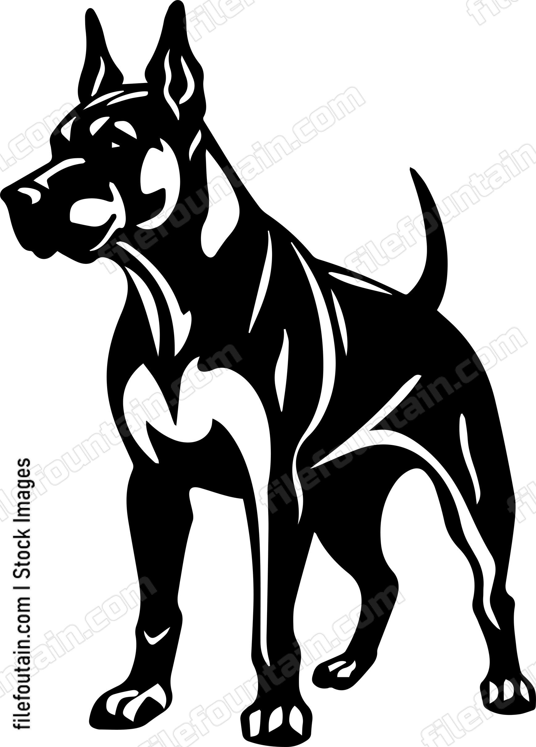 Doberman Pinscher