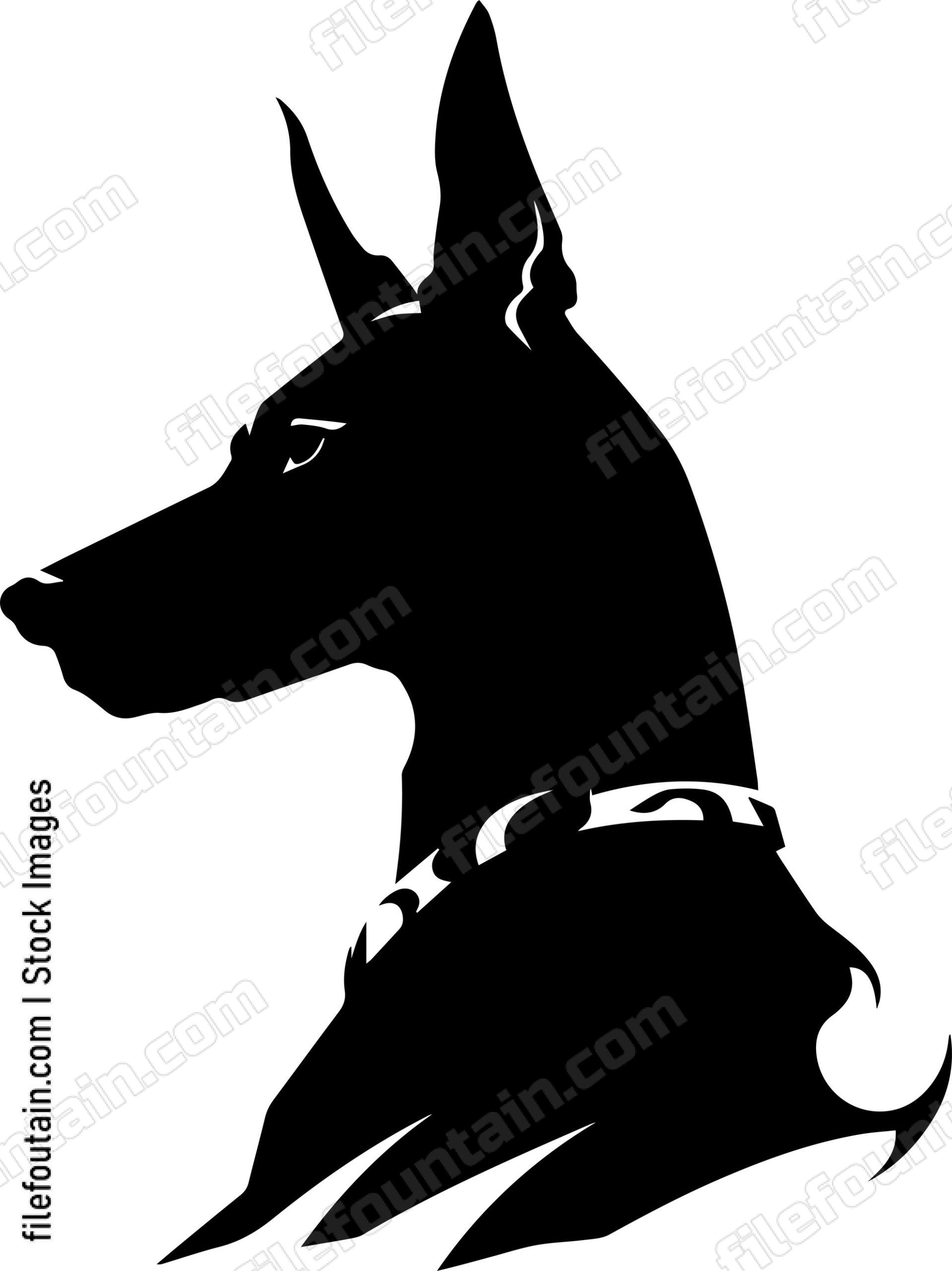 Doberman Pinscher