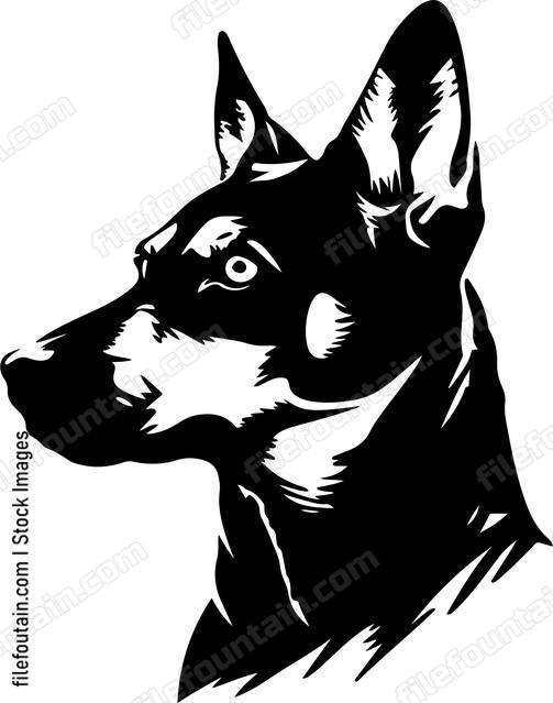 Doberman pinscher dog head