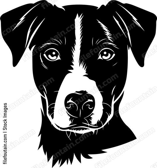 Dog face sketch