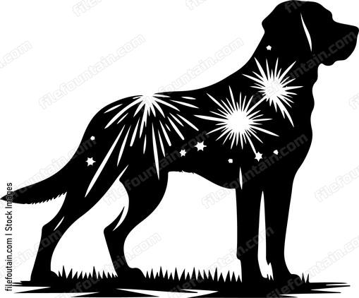 Dog Fireworks