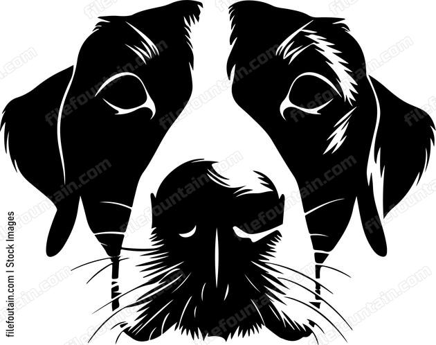 Dog Nose