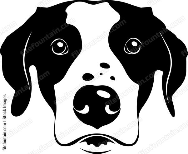 Dog Nose