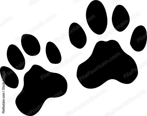 Dog Paw Prints