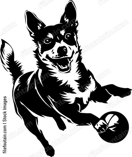 Dog Play Ball