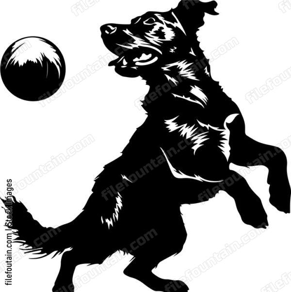 Dog Playing With Ball