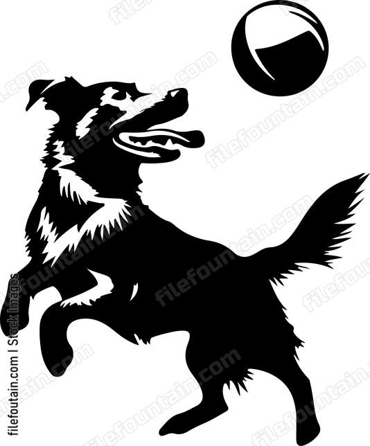 Dog Playing With Ball