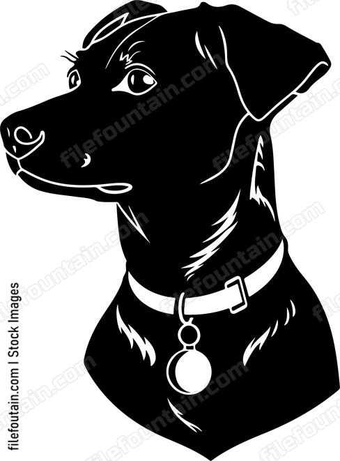 Dog Tag