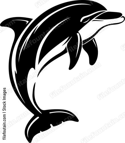 dolphin graphic