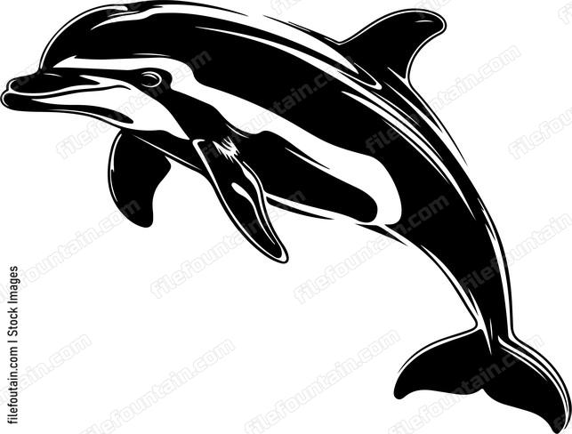 Dolphinspng