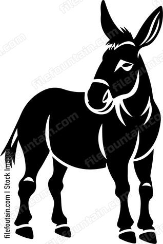 Donkey animal farm
