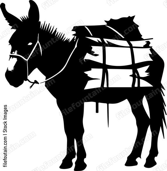 Donkey Loaded With Cargo