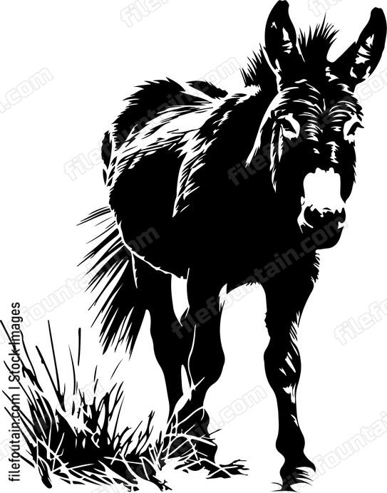 Donkey Walking