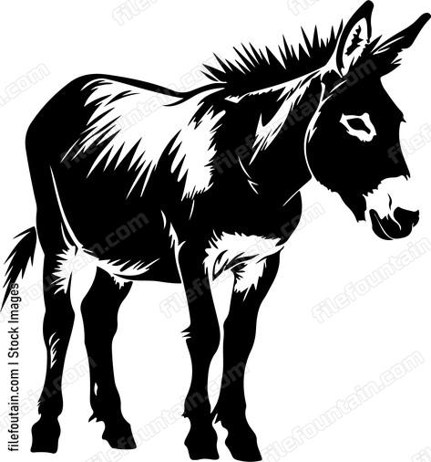 Donkey Walking