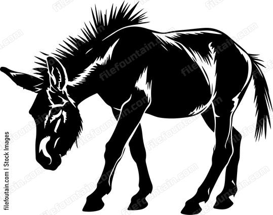 Donkey Walking