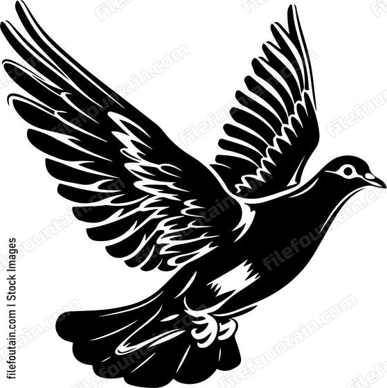 Dove