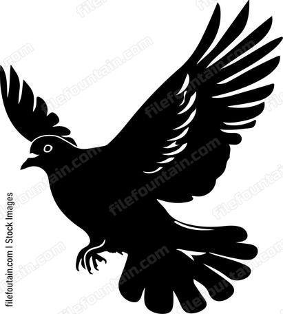 Dove