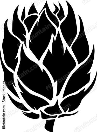 Dragon Fruit Design