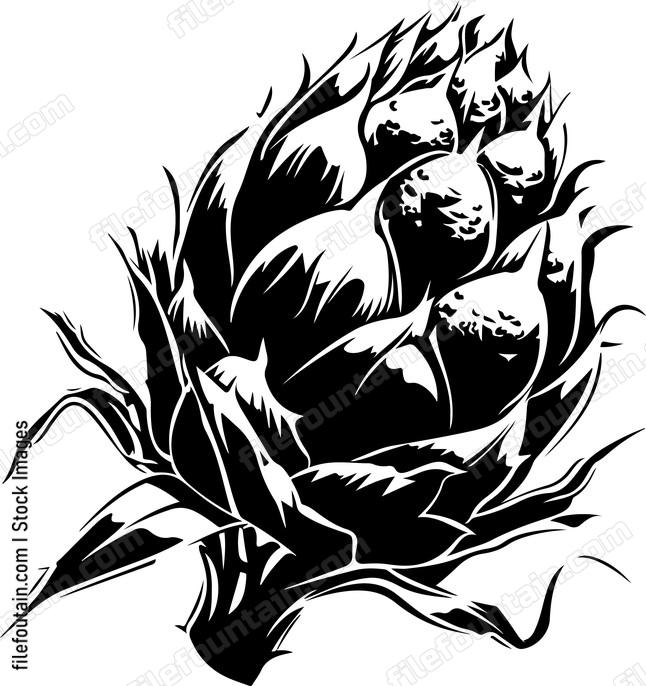 Dragon Fruit Design