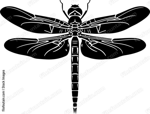 Dragonfly Design