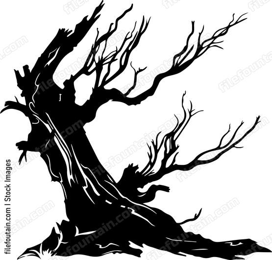 Driftwood