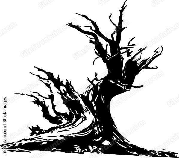 Driftwood