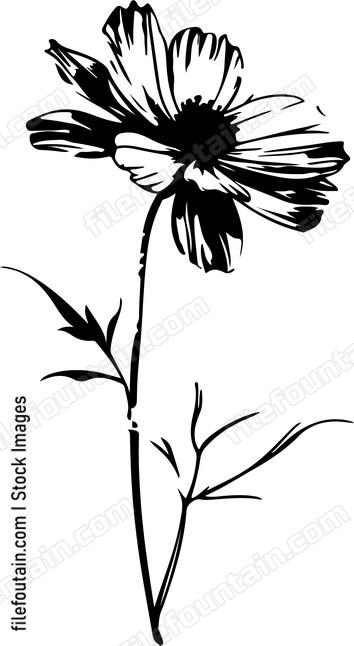Dry Flower
