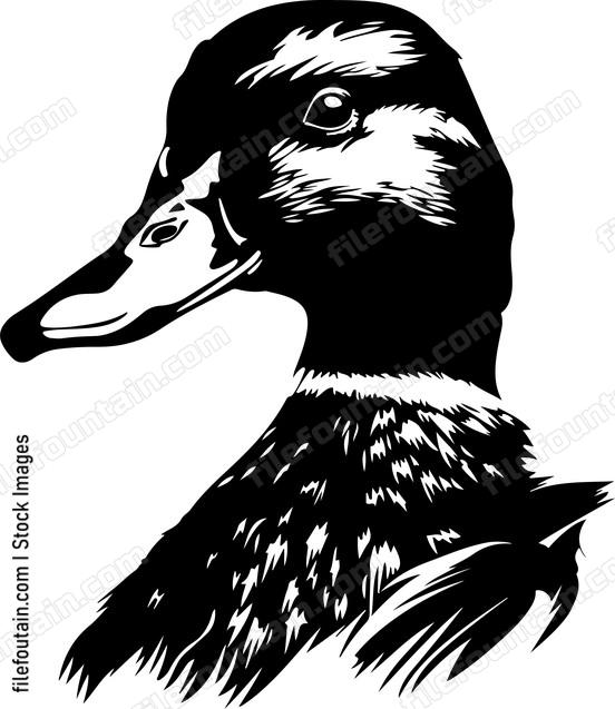 Duck Head