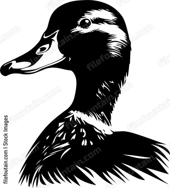 Duck Head Side