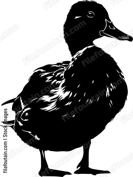 Duck Silhouette