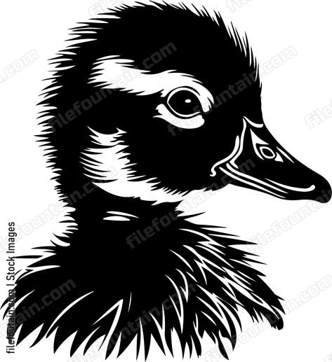 Duckling Face