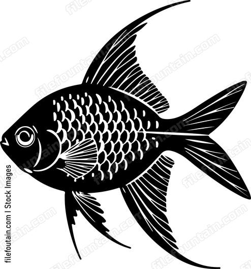 Dwarf Gourami