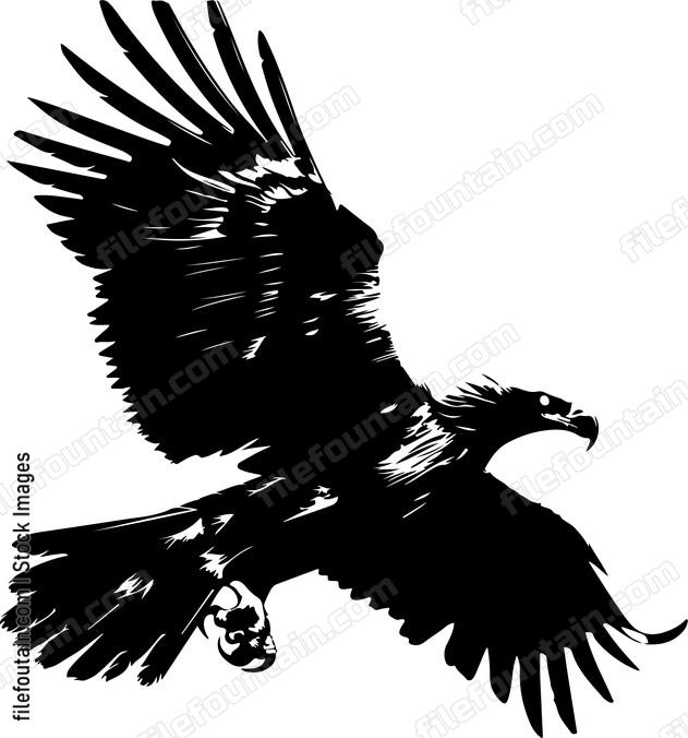 Eagle Attacking