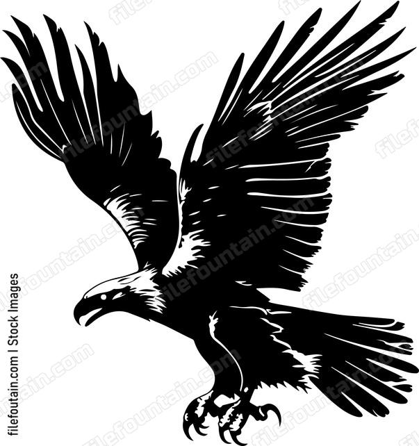 Eagle Attacking