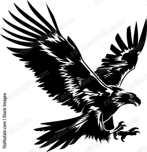 Eagle Attacking