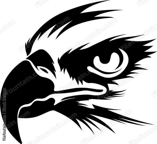 Eagle Eye