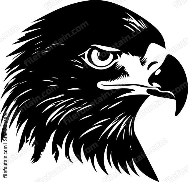 Eagle Eye