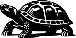Eastern Box Turtle