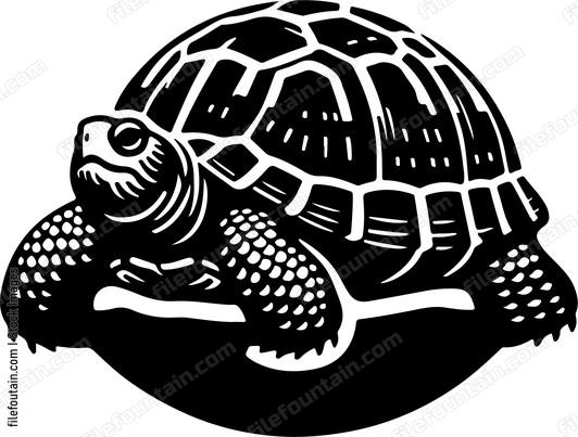 Eastern Box Turtle