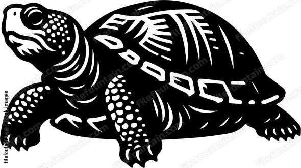 Eastern Box Turtle