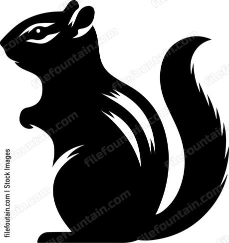 Eastern Chipmunk