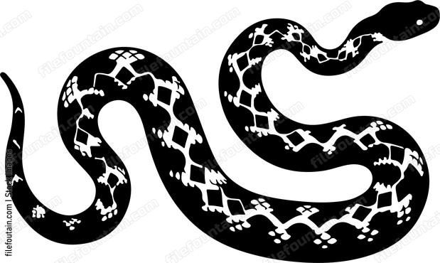 Eastern Diamondback Rattlesnake