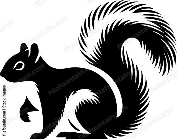 Eastern Gray Squirrel