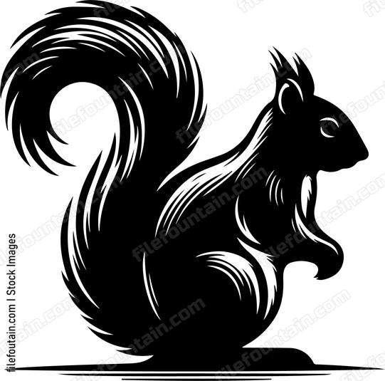 Eastern Gray Squirrel