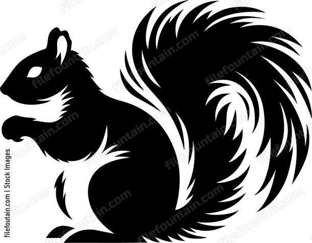 Eastern Gray Squirrel