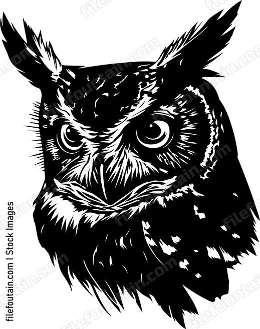 Eastern Screech Owl