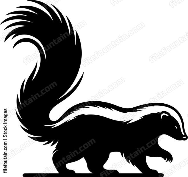 Eastern Skunk